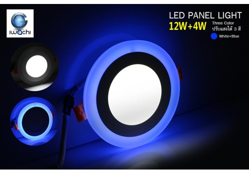 IWACHI-PN-CO-12+4W-R-BL